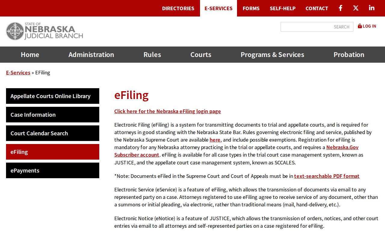 Burt County criminal docket Nebraska eFiling access overview