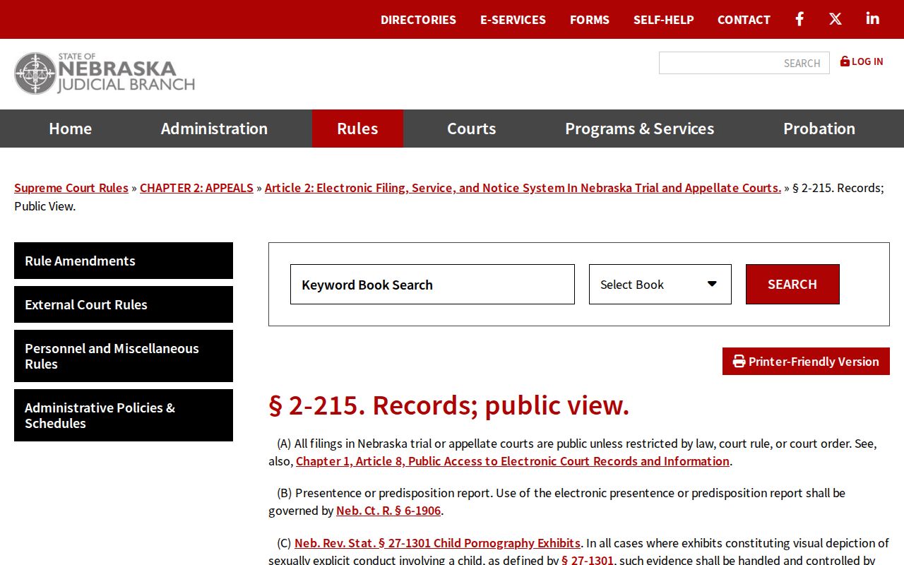Burt County criminal docket public electronic record access rule